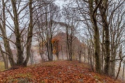 Sabato 02 novembre 2013 – M.te Resegone dalle cresta Sud - FOTOGALLERY