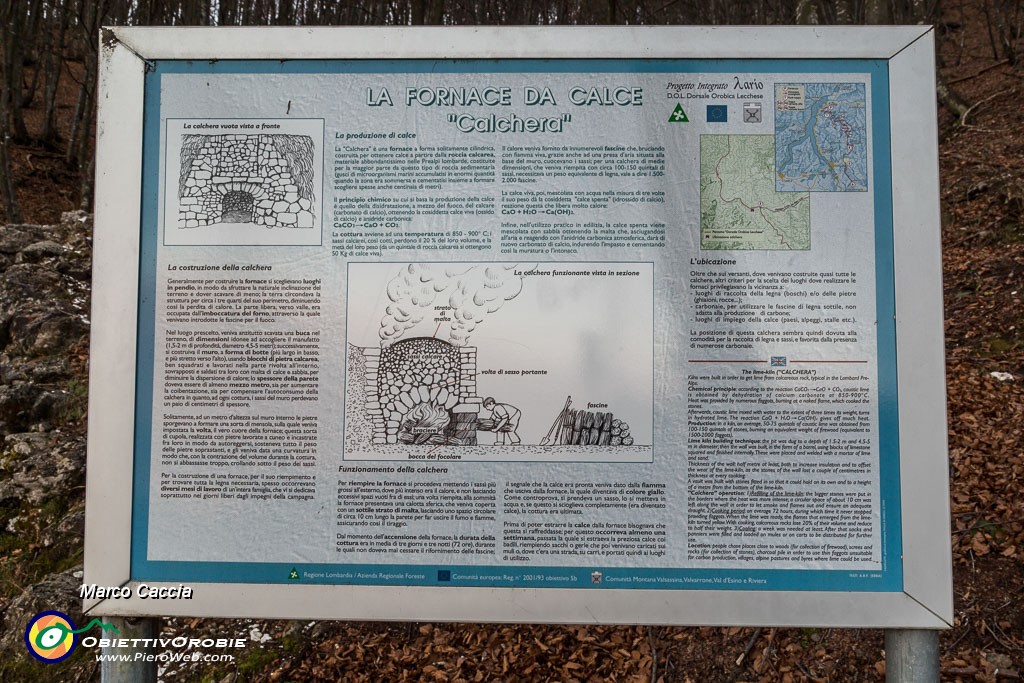 _MG_0714.JPG