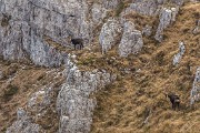 _MG_0666