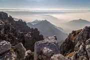 _MG_0695
