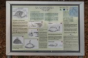 _MG_0722