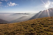 _MG_0731