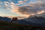 Domenica 6 dicembre 2015 – Creste del Resegone e Costa del Palio- FOTOGALLERY