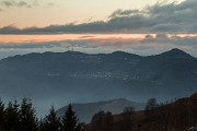 _MG_0880