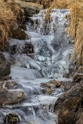 _MG_0224