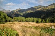 _MG_4977