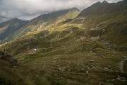 _MG_4992