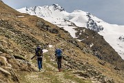 IMG_6959
