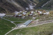 IMG_7278