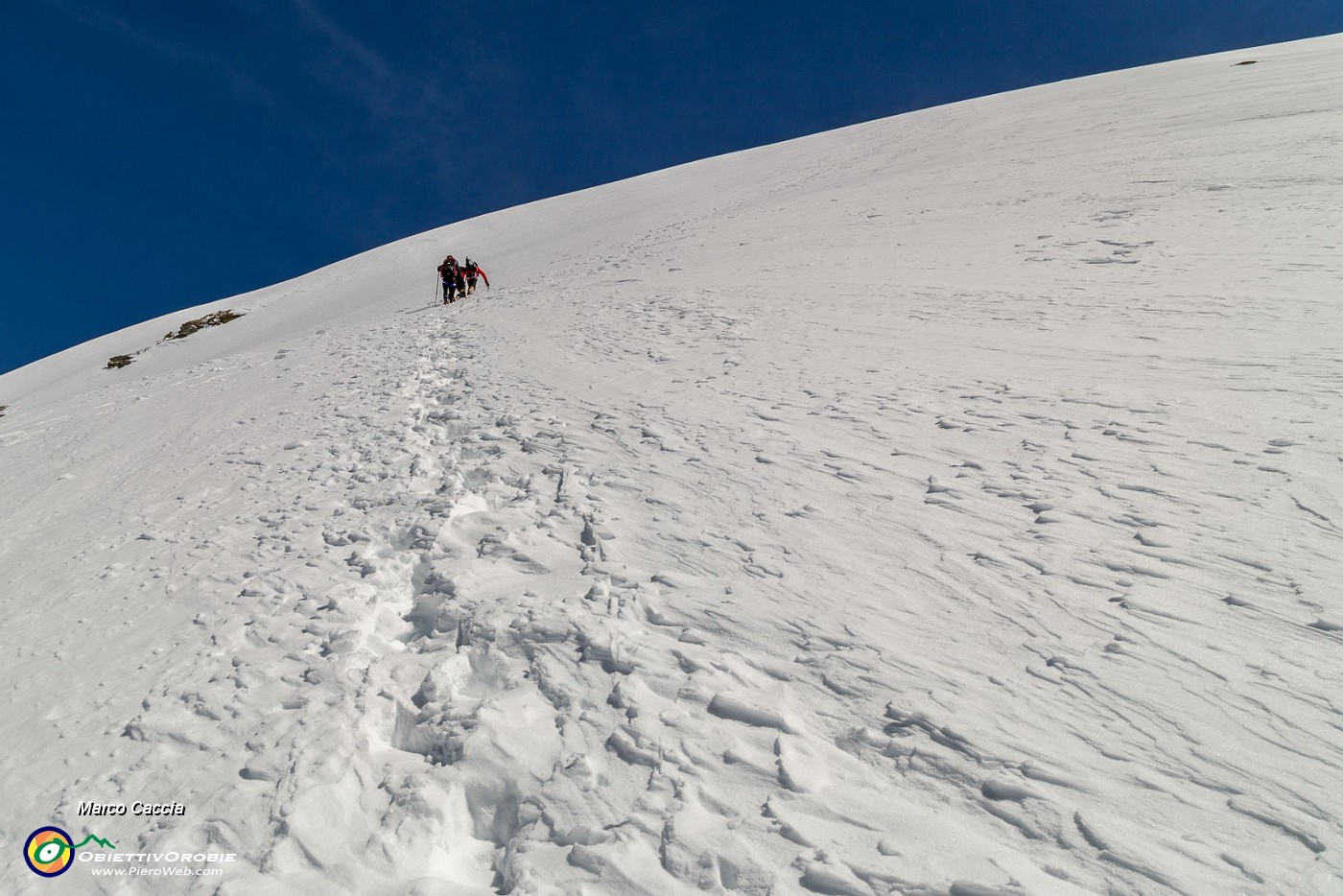 _MG_2520.JPG