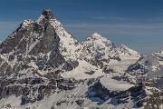 _MG_2505