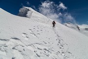 _MG_2529