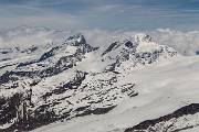 _MG_2565