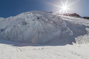 IMG_0246