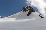IMG_0294