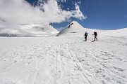 IMG_0341