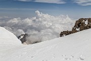 IMG_0459