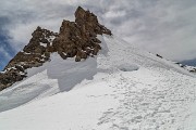 IMG_0460