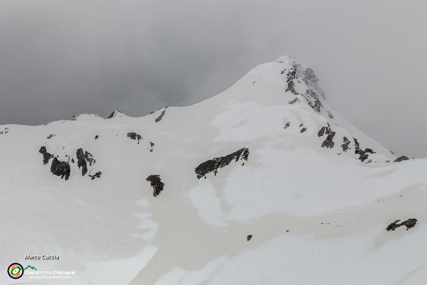 _MG_2439.JPG