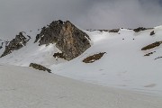 _MG_2465