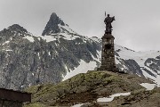 _MG_2467