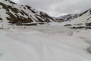 _MG_2469