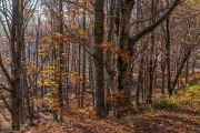 Domenica 01 novembre 2015 – M.ti Matto – Paitino – Sillara - FOTOGALLERY
