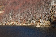 _MG_9729