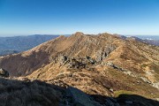 _MG_9848