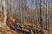 _MG_9912
