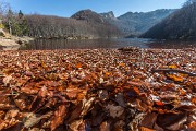 _MG_9934