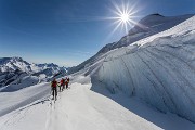 _MG_0798