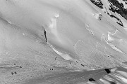 _MG_0841