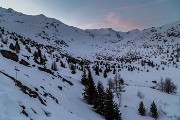 _MG_0305