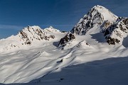 _MG_0342