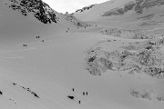 _MG_0348