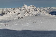 _MG_0378