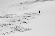 _MG_0484