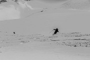_MG_0520