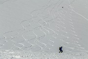 _MG_0622