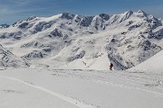 _MG_0649