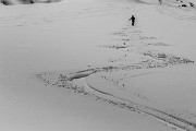 _MG_0677