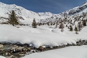 _MG_0698