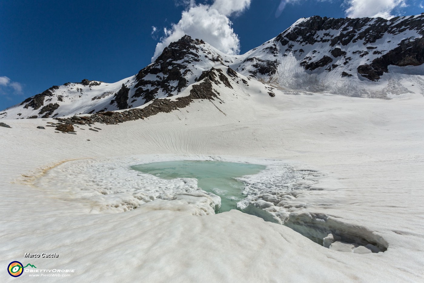 _MG_2447.JPG