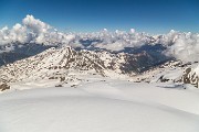 _MG_2369
