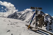 _MG_2378
