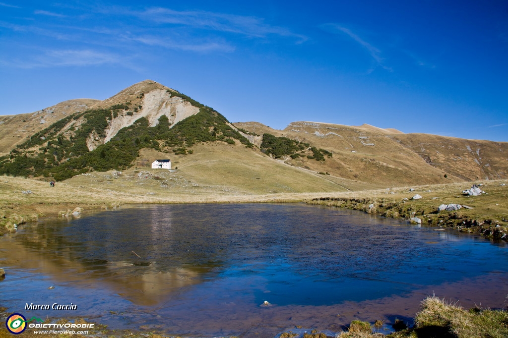 IMG_6379_resize.JPG