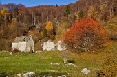Fraggio - Piani d'Artavaggio - C.ma di Piazzo - Sodadura - Rifugio Gherardi - Pizzino il 13 novembre 2011 - FOTOGALLERY