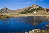 IMG_6378_resize