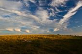 04_Autunno